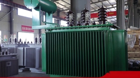 10kv Series Distribution Transformer Duplex Winding Non